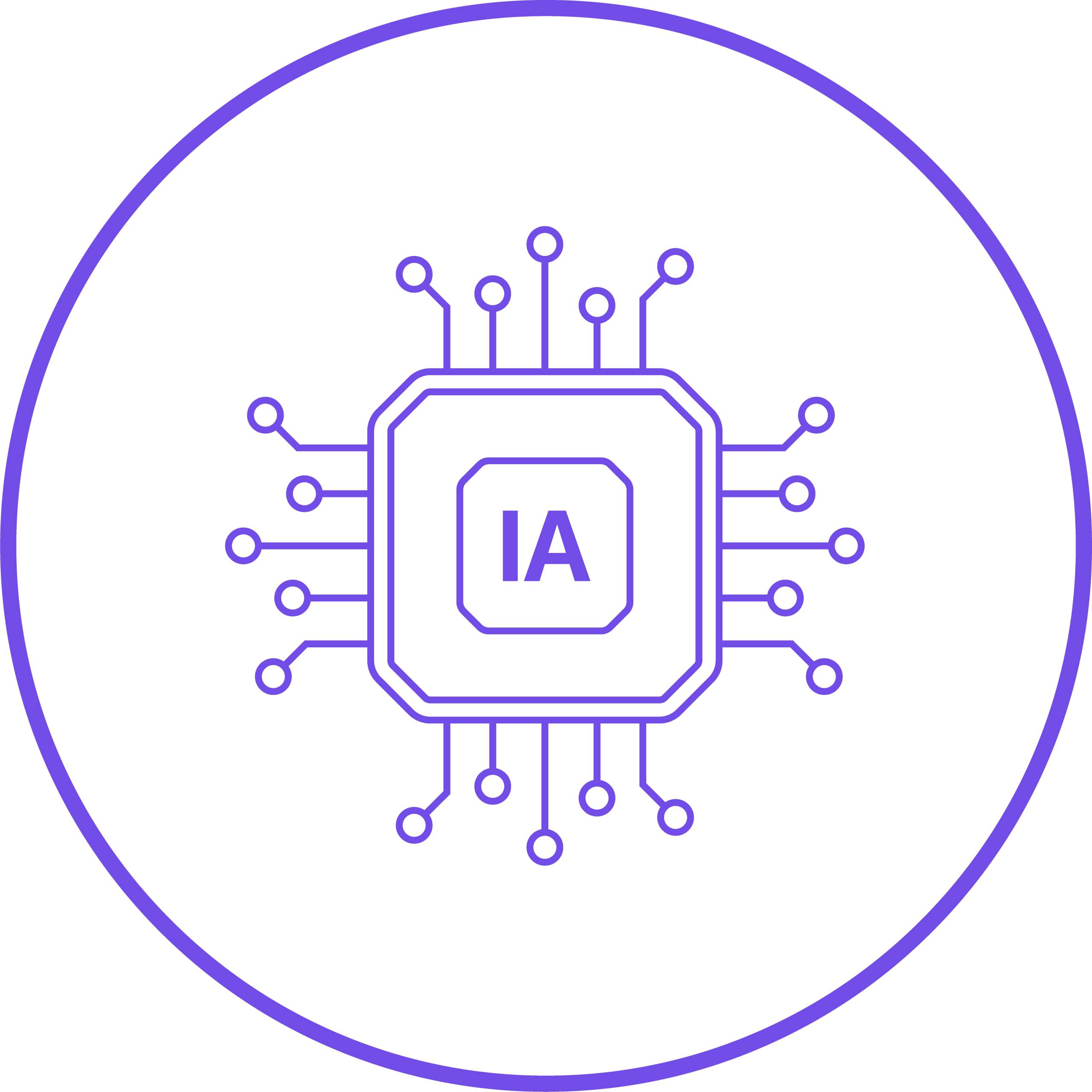 IA y automatización 